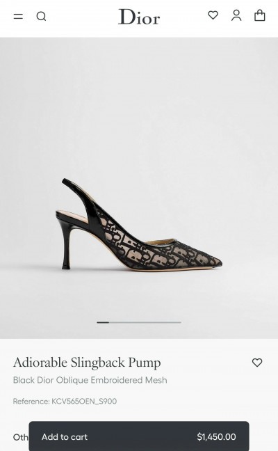Слингбэки Dior