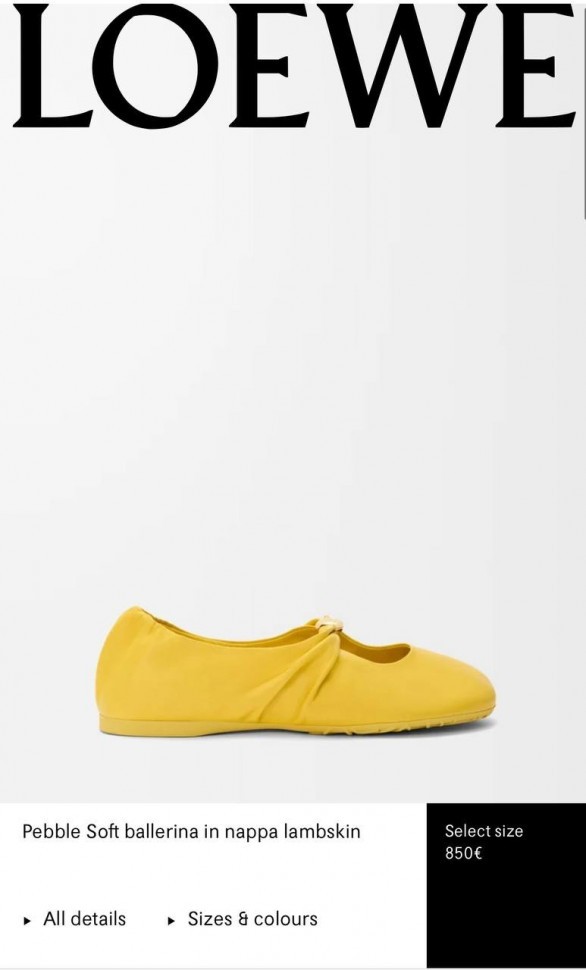 Балетки Loewe