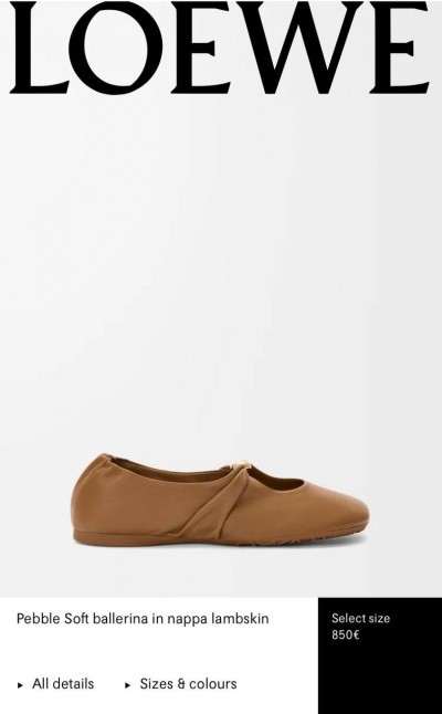 Балетки Loewe