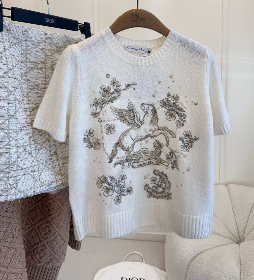 Топ Dior