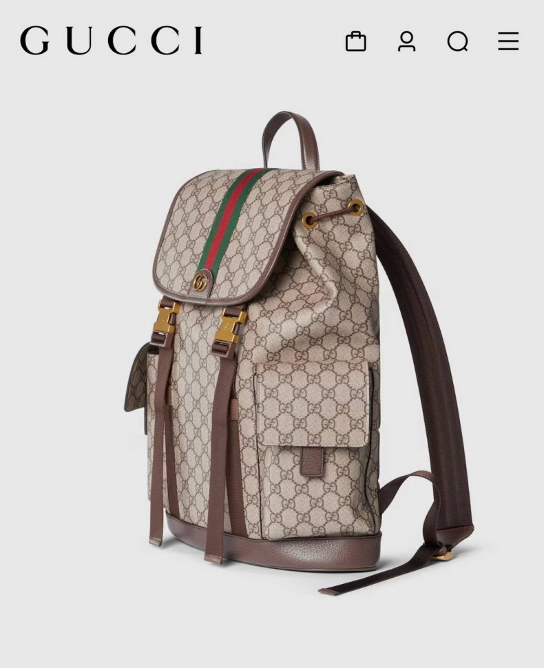 Рюкзак Gucci Ophidia Large Backpack