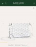 Сумка Goyard Plumet Сумка Goyard Plumet