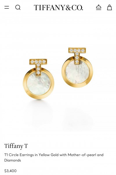 Серьги Tiffany T
