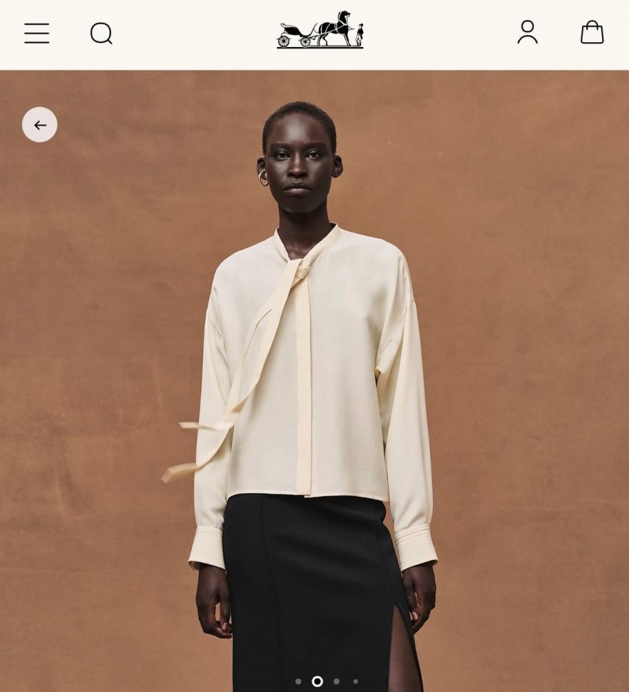 Блуза Hermes
