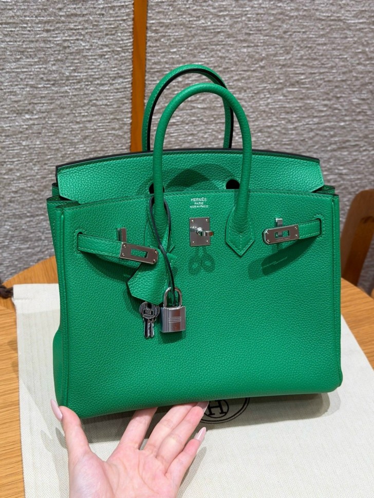 Сумка Hermes Birkin 25 Togo Bambou