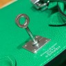 Сумка Hermes Birkin 25 Togo Bambou