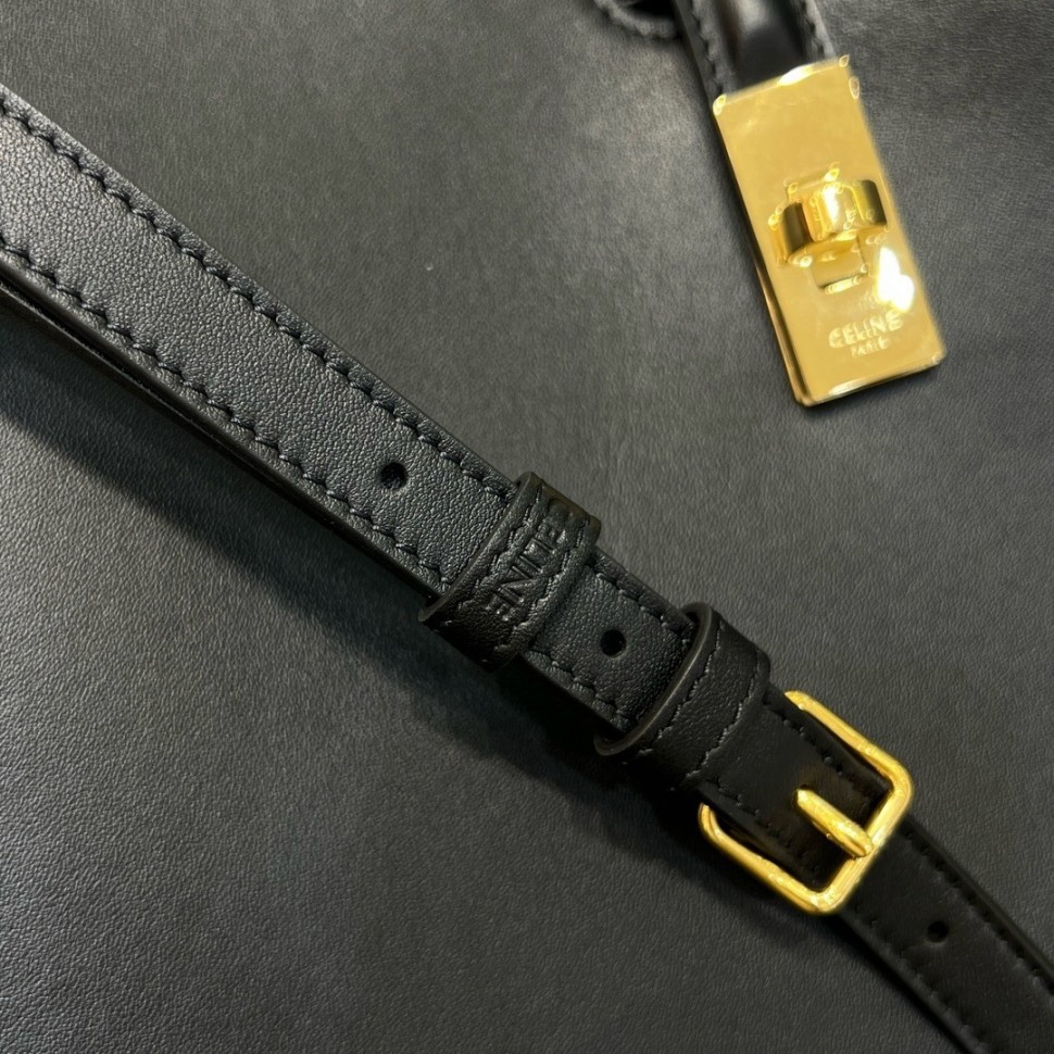 Сумка Celine Camille 16 Medium 