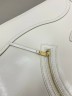 Сумка Celine Flat 
