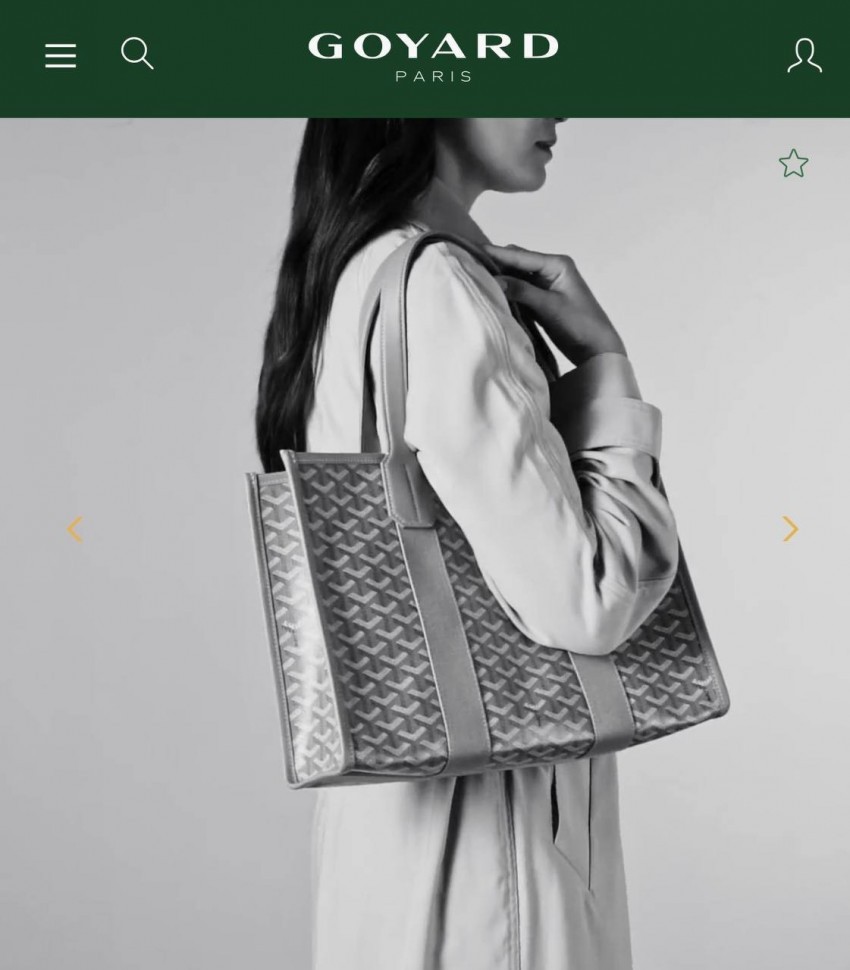 Сумка Goyard Villette