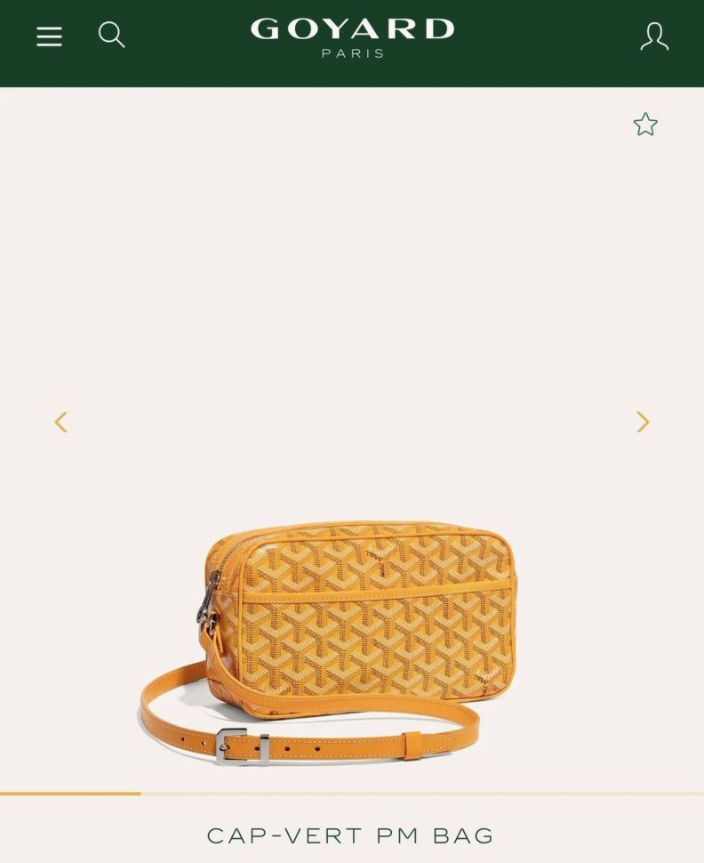 Сумка Goyard Cap-Vert PM