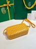 Сумка Goyard Cap-Vert PM