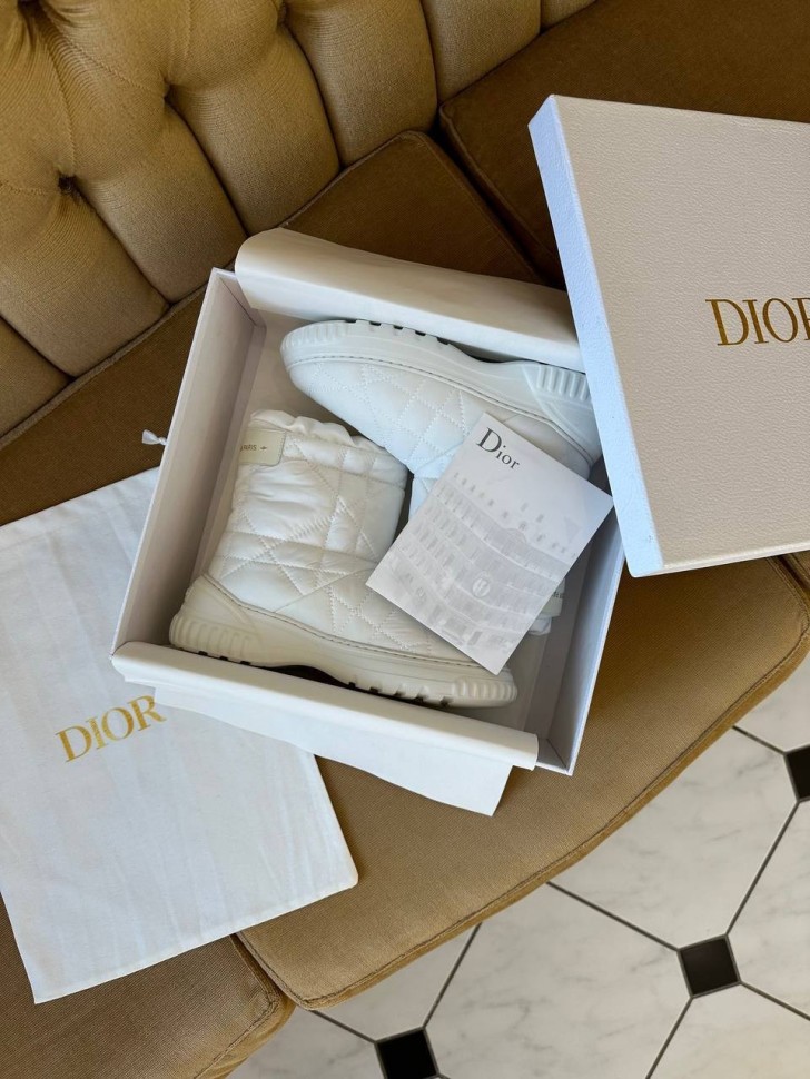 Ботинки Dior Diorapls