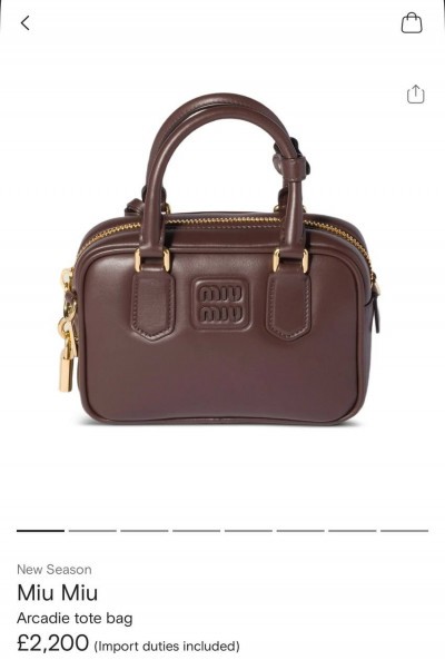 Сумка Miu Miu Arcadie 