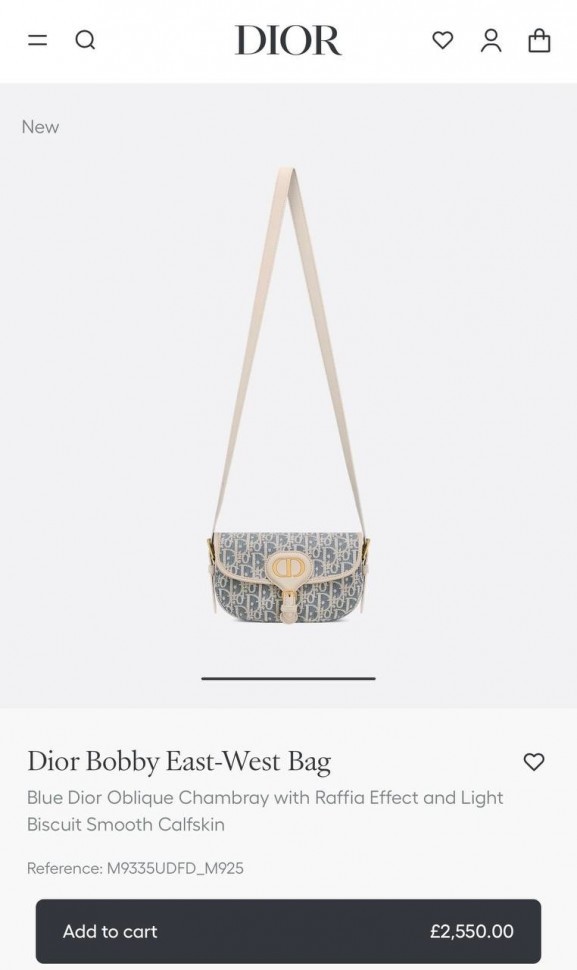 Сумка Dior Bobby East West