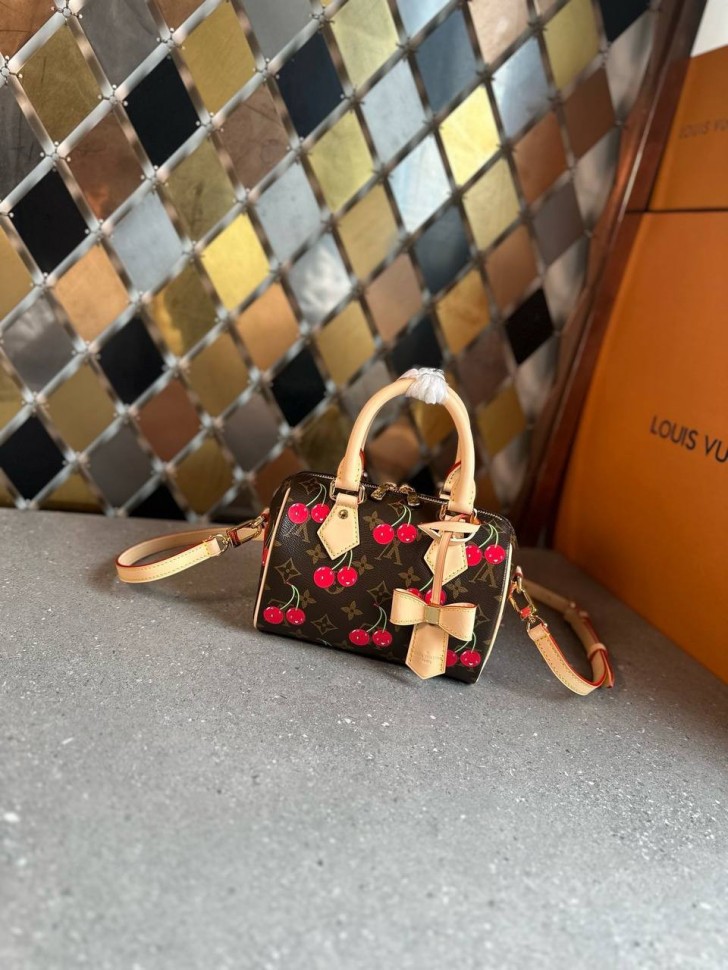 Сумка Louis Vuitton Speedy 20 LV x TM