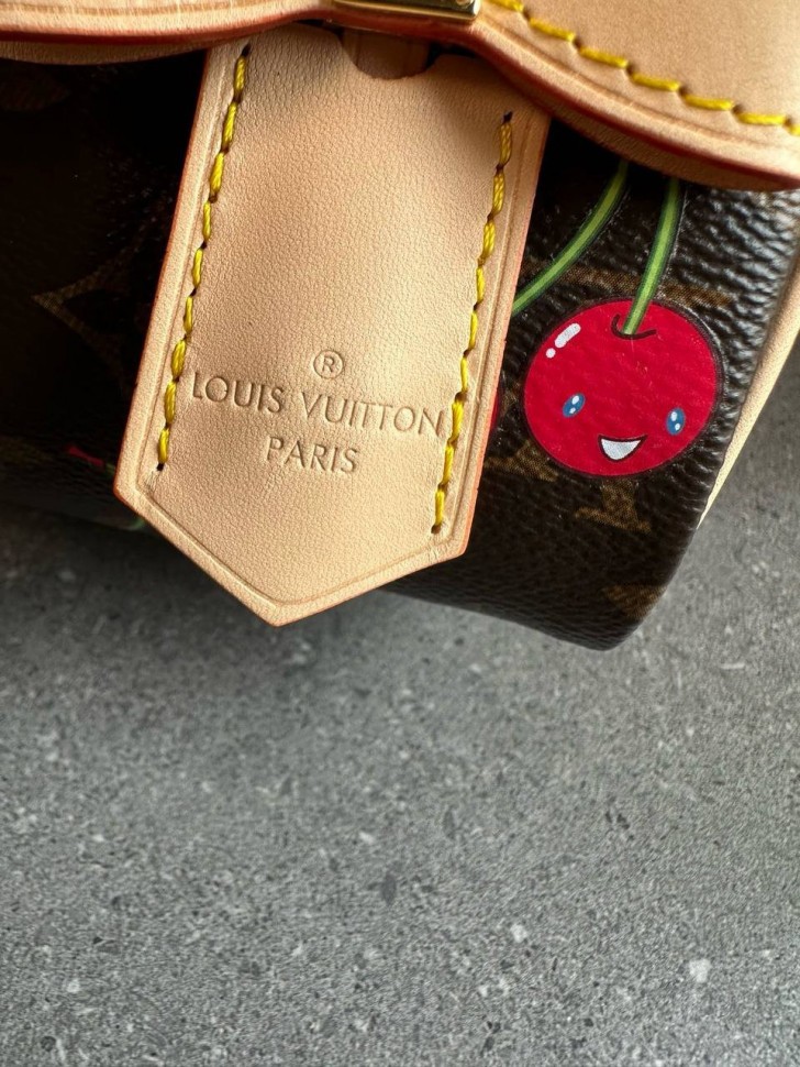 Сумка Louis Vuitton Speedy 20 LV x TM
