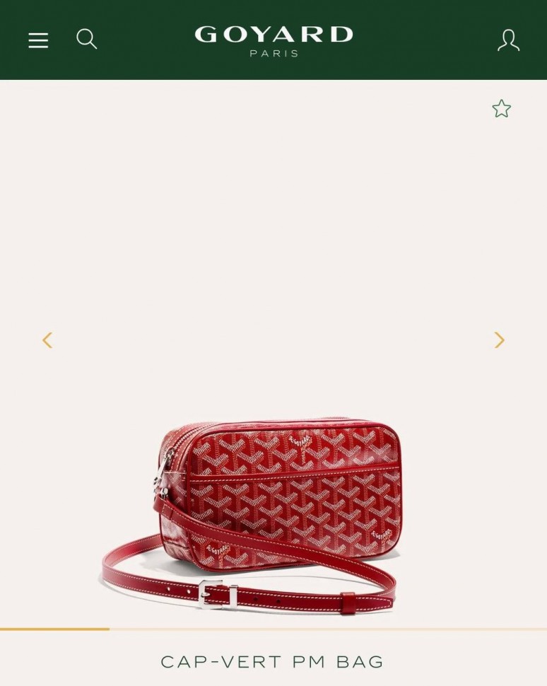 Сумка Goyard Cap-Vert PM