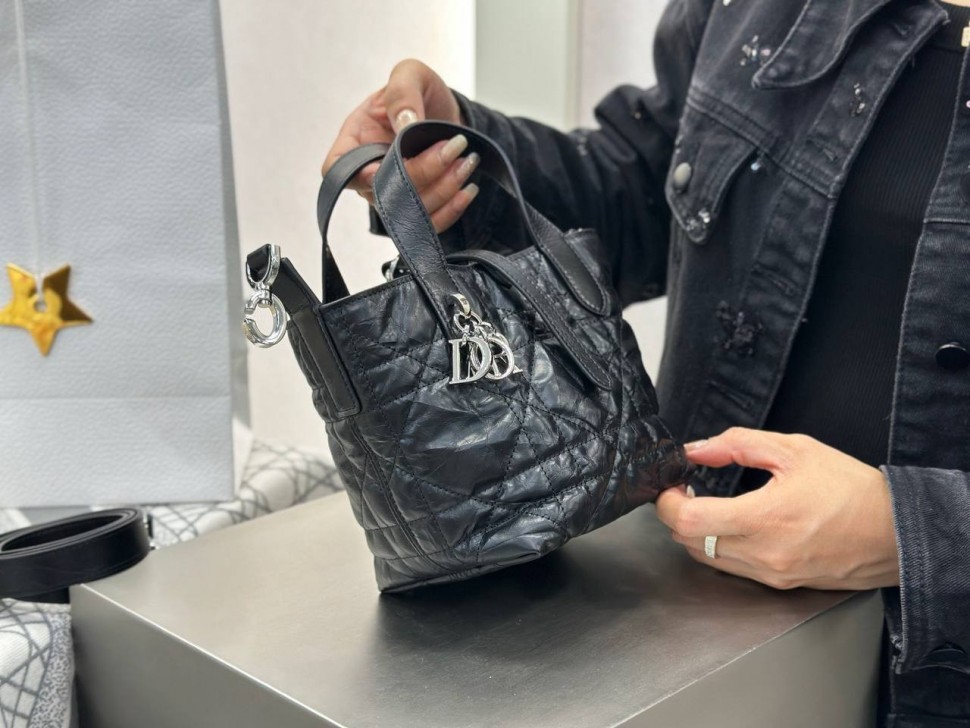 Сумка Dior Toujours Nano