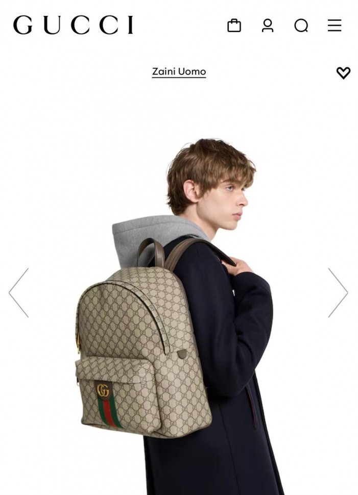 Рюкзак Gucci Ophidia Misura Media