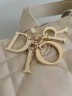 Сумка Dior Toujours Large Tote Сумка Dior Toujours Large Tote