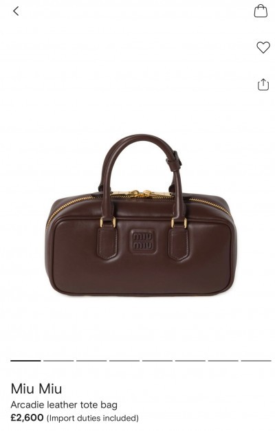Сумка Miu Miu Arcadie Large   