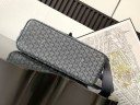 Сумка Goyard Capetien MM