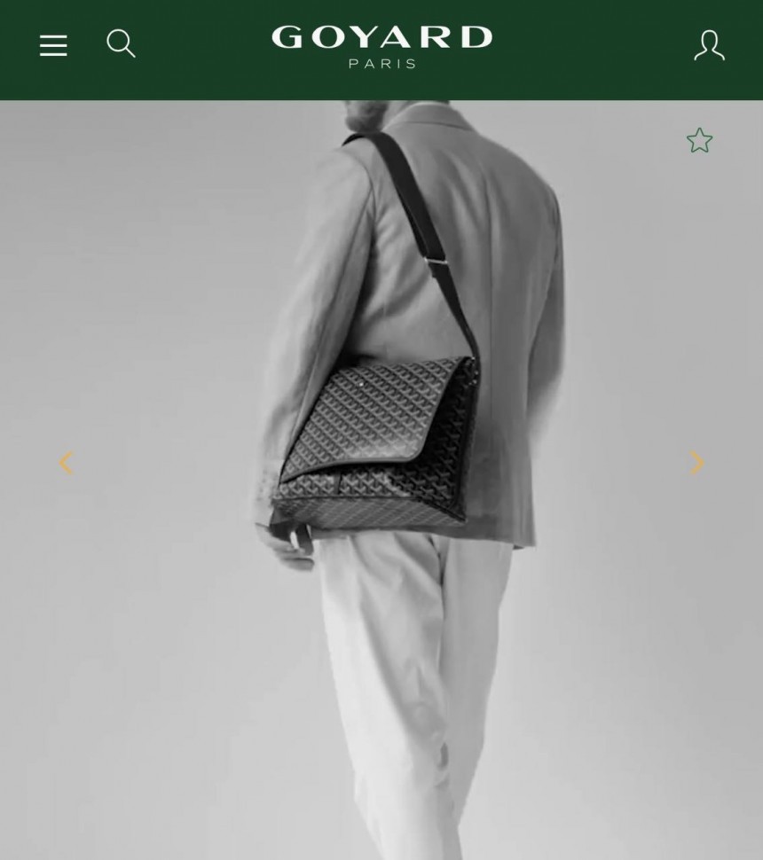Сумка Goyard Capetien MM
