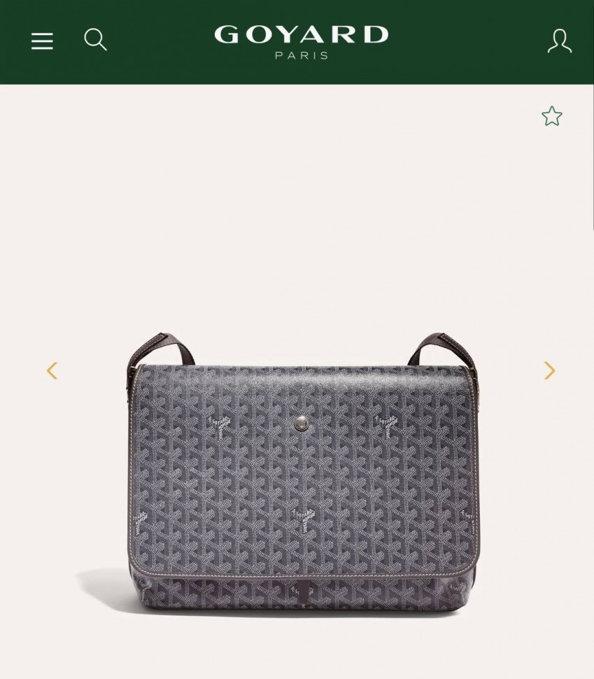 Сумка Goyard Capetien MM