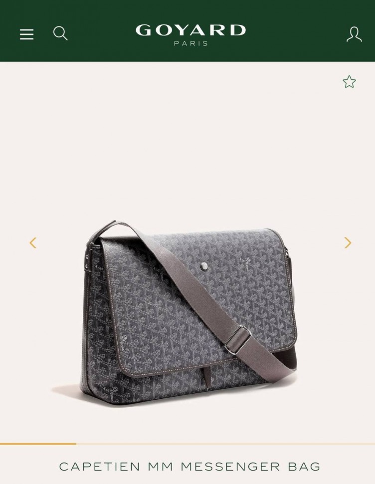 Сумка Goyard Capetien MM