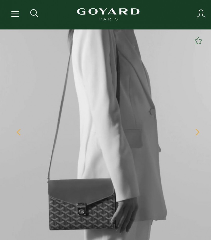 Сумка Goyard Chypre 