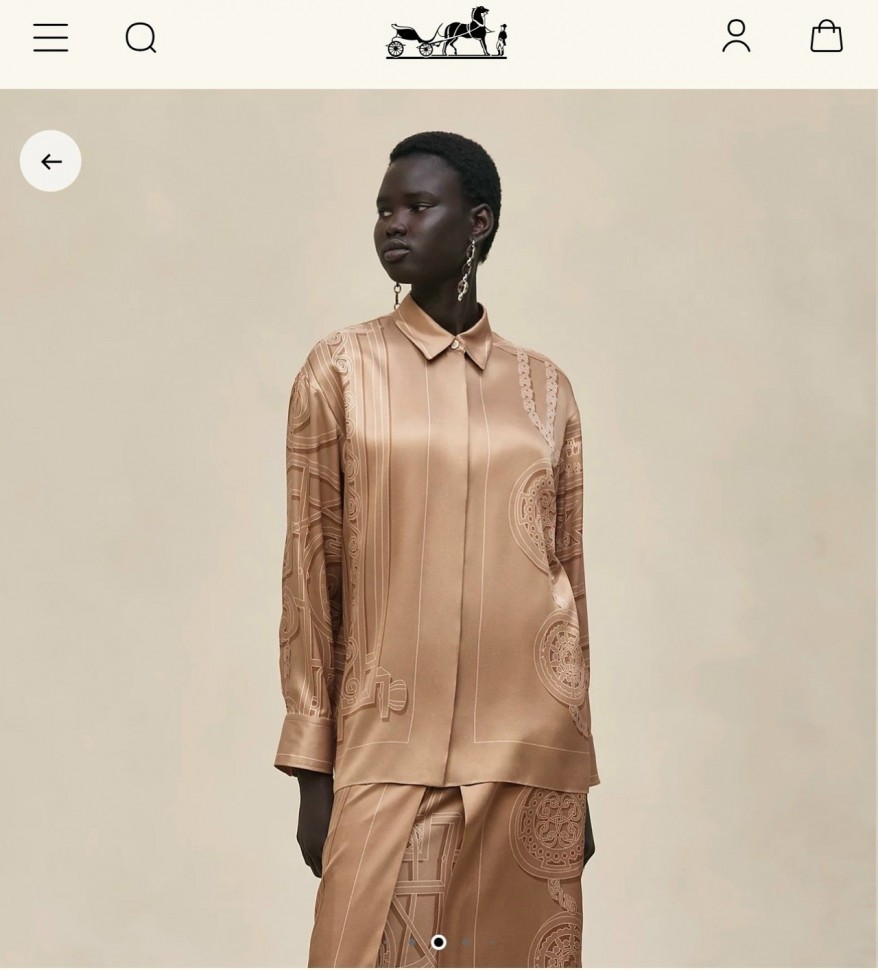 Блуза Hermes