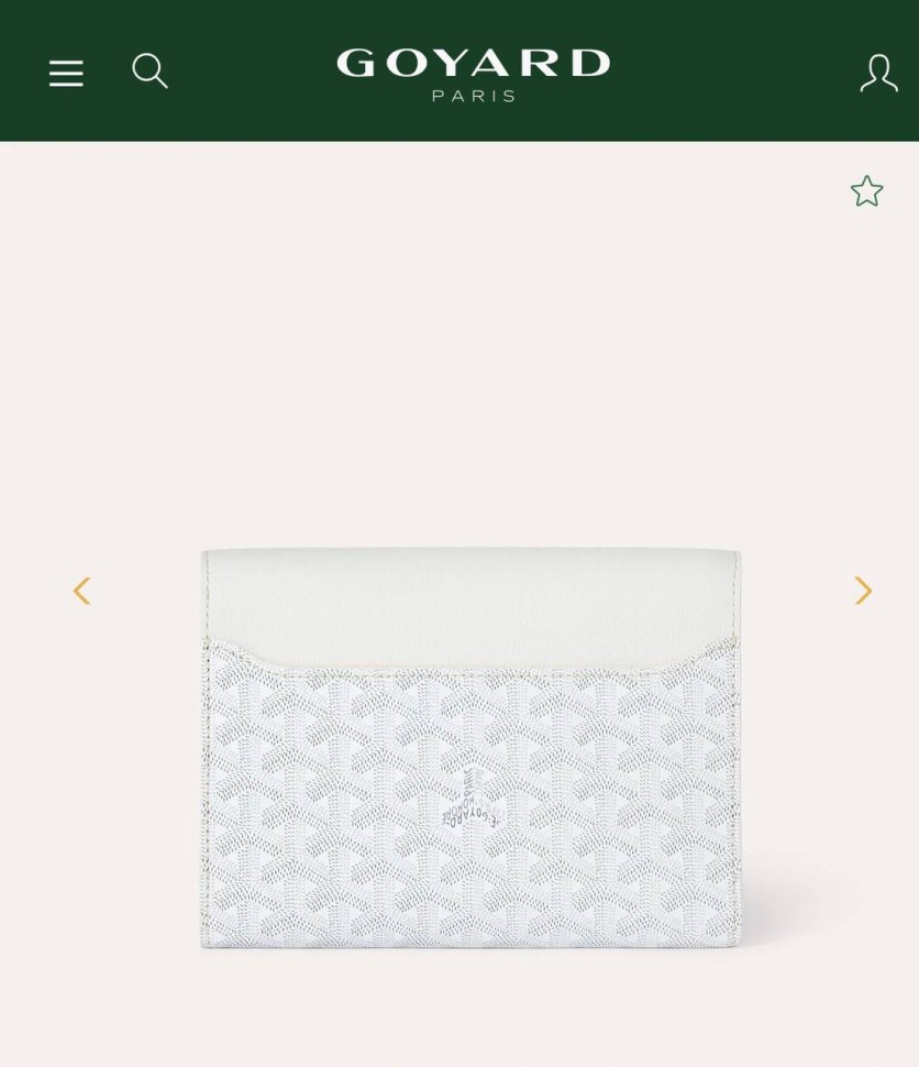 Сумка Goyard Chypre  