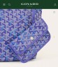 Сумка Saint Louis PM Goyard   
