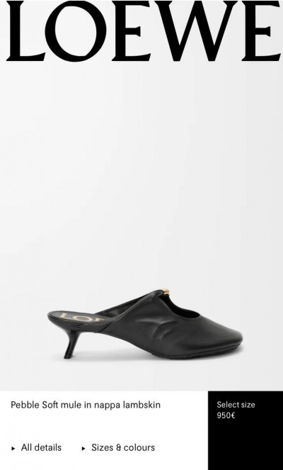 Мюли Loewe  
