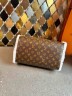 Сумка Louis Vuitton Speedy Soft 30 Teddy 