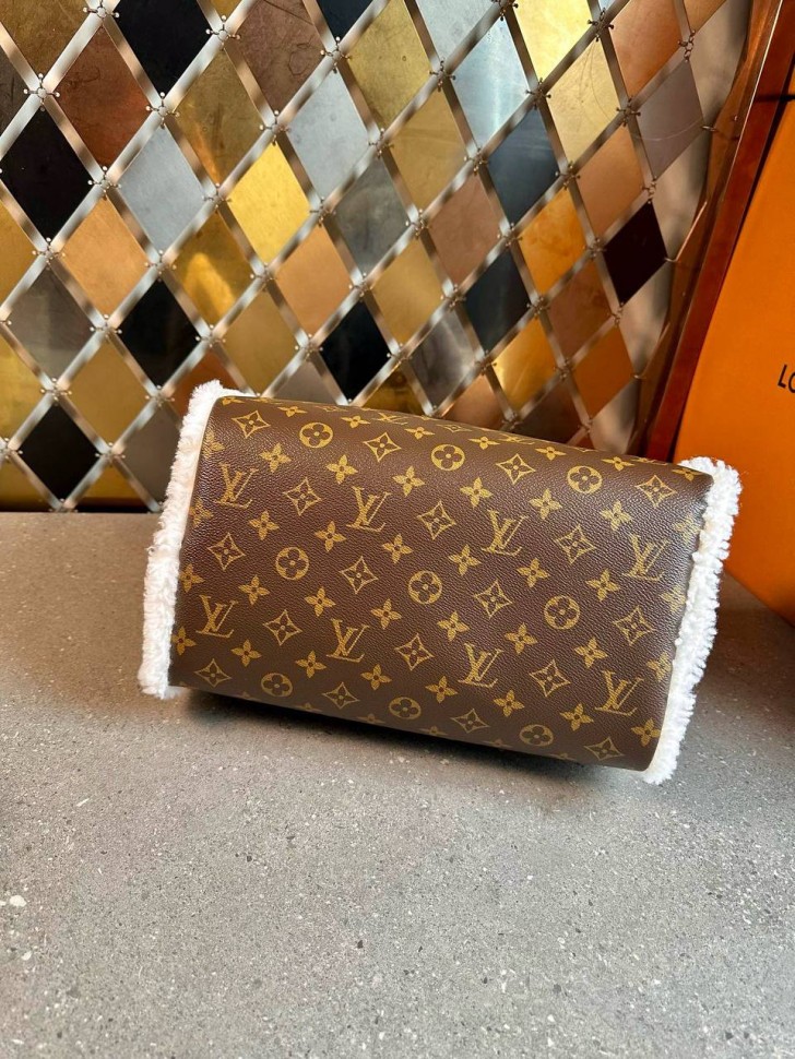 Сумка Louis Vuitton Speedy Soft 30 Teddy 