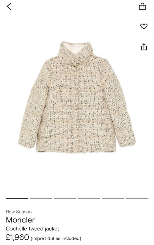 Пуховик Moncler  