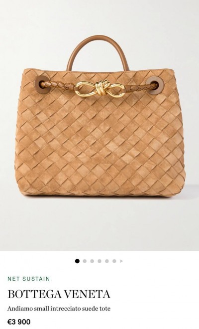 Сумка Bottega Veneta Andiamo Small
