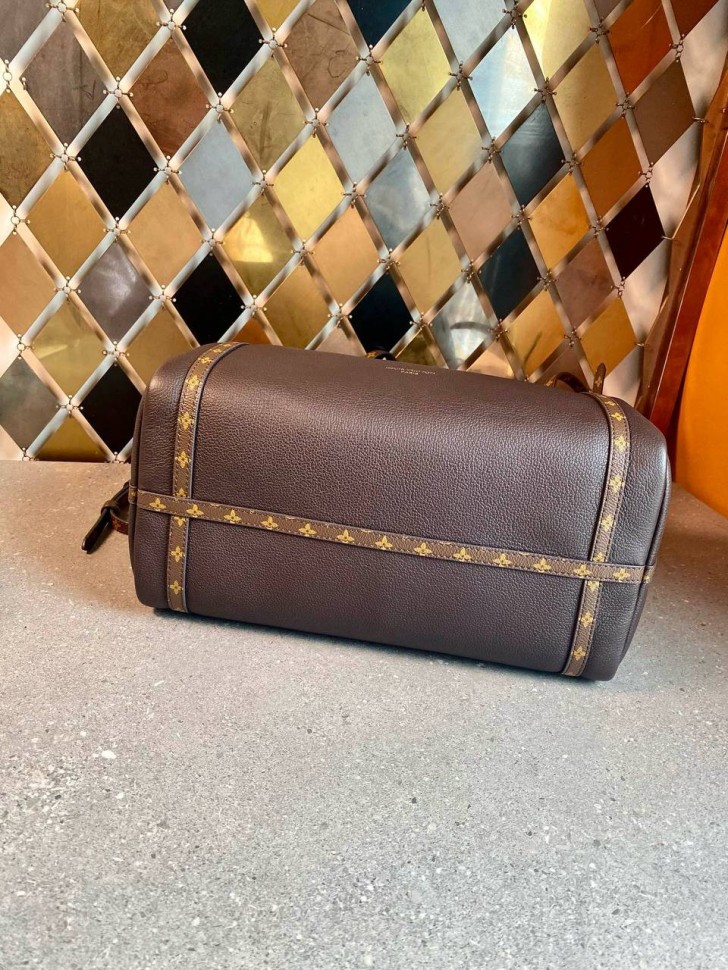 Сумка Louis Vuitton Sac Express  MM      