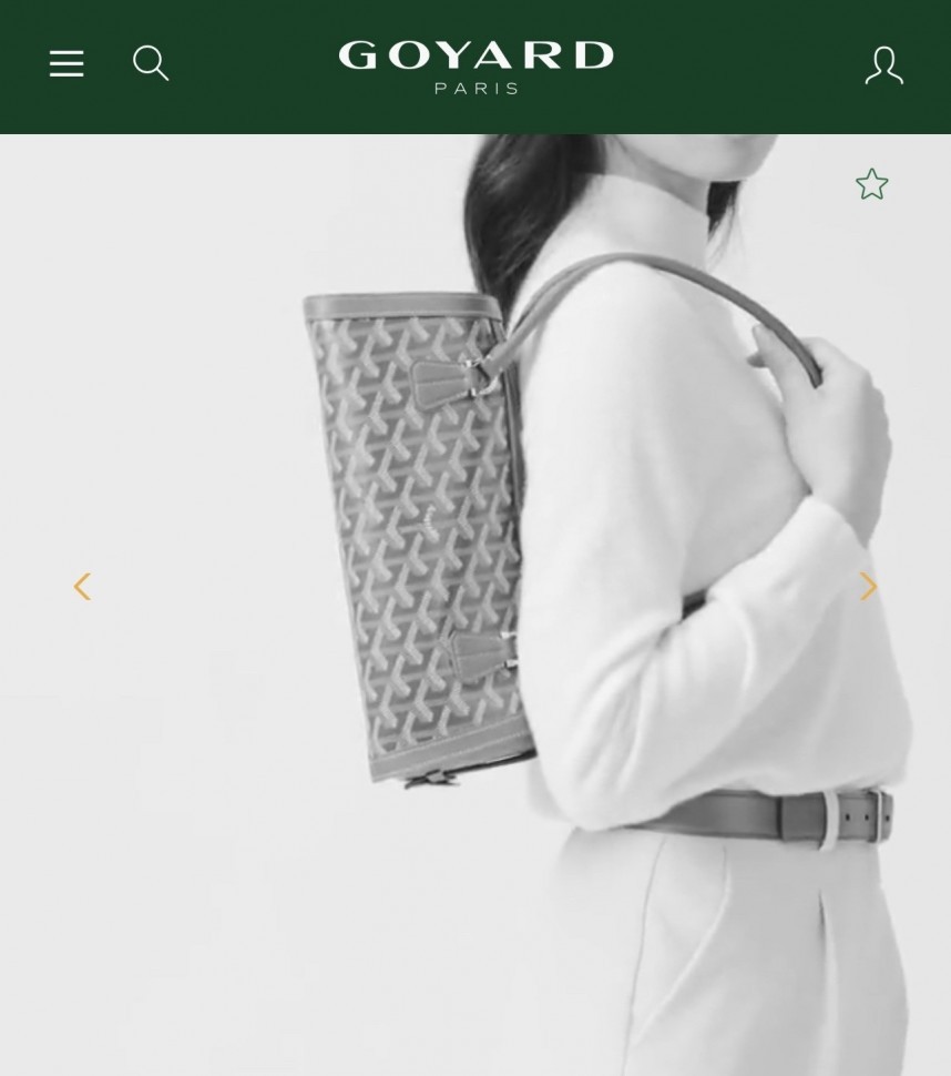 Сумка Goyard Bonbonnière