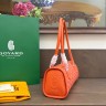 Сумка Goyard Bonbonnière