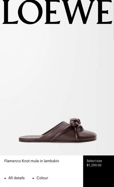 Мюли Loewe