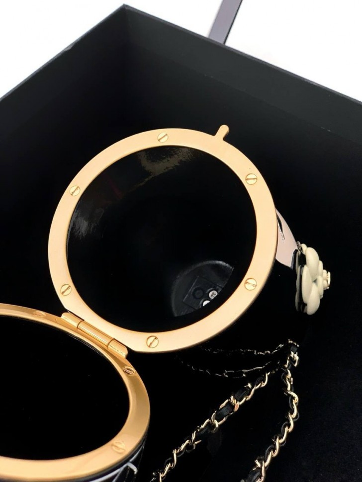 Сумка Chanel Vintage 2010 Limited Edition